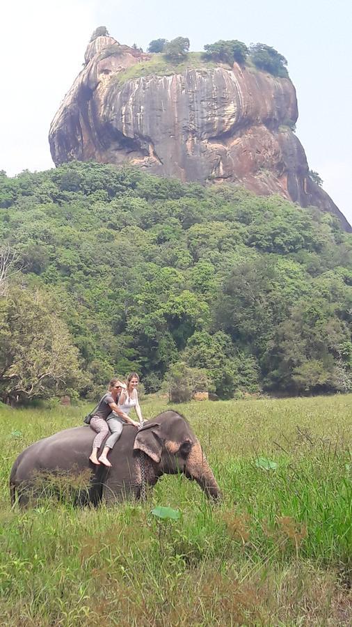 Richwin Villa Dambulla Bagian luar foto